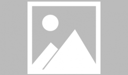 苹果手机怎么看91直播,轻松观看91直播的实用指南